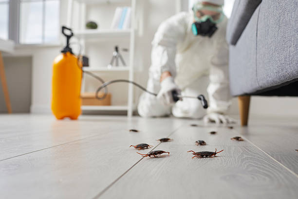 Trusted Fumigation Services service in Wauseon, OH - Nex Pest Control