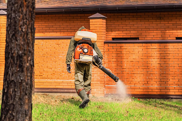 Trusted Cockroach Control service in Wauseon, OH - Nex Pest Control